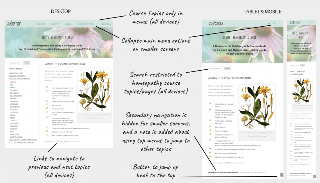 Energy Evolution Homeopathy Course IntuitiveCubed Energy Evolution Homeopathy Course IntuitiveCubed